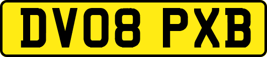 DV08PXB
