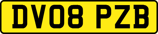 DV08PZB