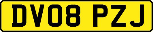 DV08PZJ