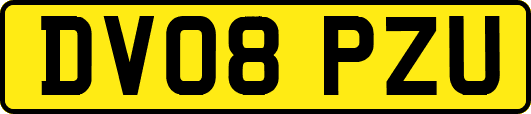 DV08PZU