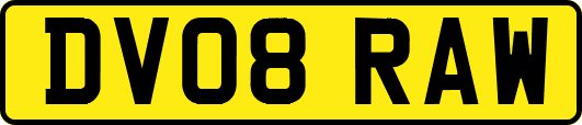 DV08RAW