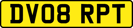 DV08RPT