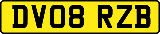 DV08RZB