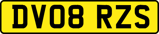 DV08RZS