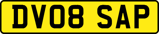 DV08SAP