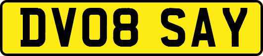DV08SAY