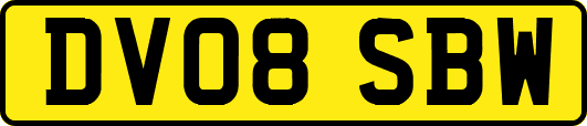 DV08SBW