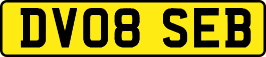 DV08SEB