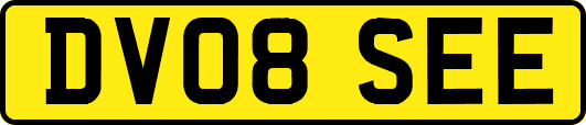 DV08SEE