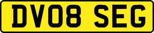 DV08SEG