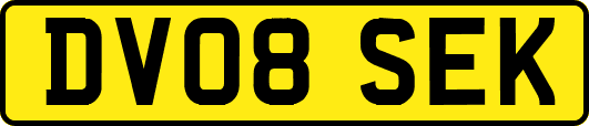 DV08SEK