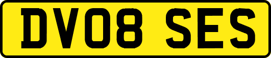 DV08SES