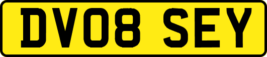 DV08SEY