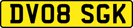 DV08SGK