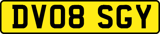 DV08SGY