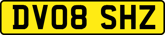 DV08SHZ