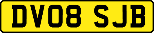 DV08SJB