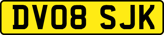 DV08SJK