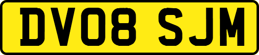 DV08SJM