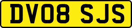 DV08SJS