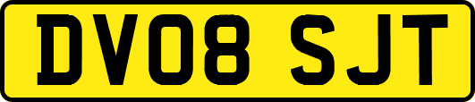 DV08SJT