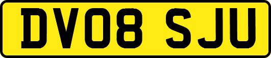 DV08SJU