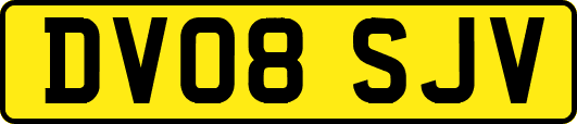 DV08SJV