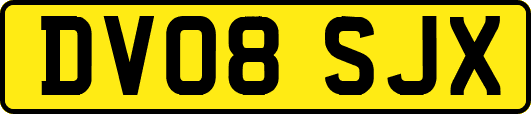 DV08SJX