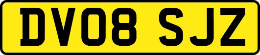 DV08SJZ
