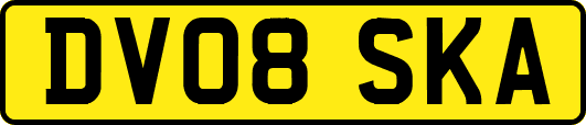 DV08SKA