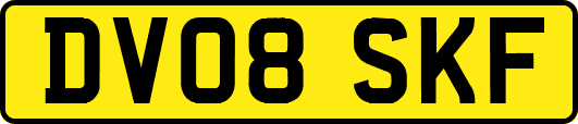 DV08SKF