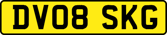 DV08SKG