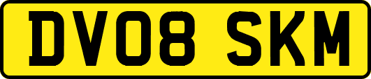 DV08SKM