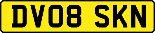 DV08SKN