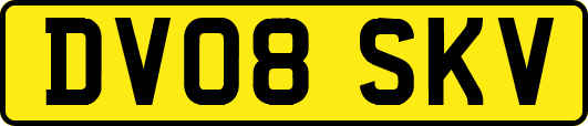 DV08SKV