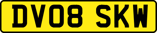 DV08SKW