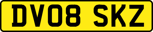 DV08SKZ