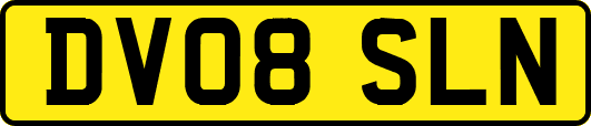 DV08SLN