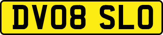 DV08SLO