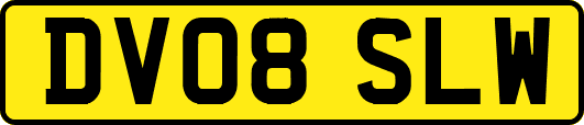 DV08SLW
