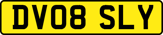 DV08SLY