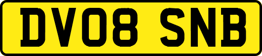 DV08SNB