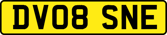 DV08SNE