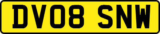 DV08SNW