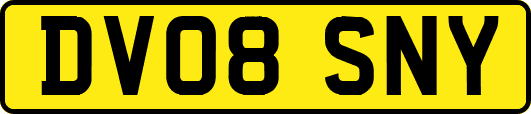 DV08SNY