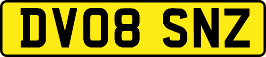 DV08SNZ