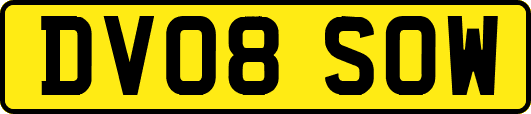 DV08SOW