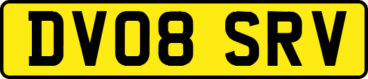 DV08SRV
