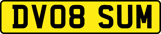 DV08SUM