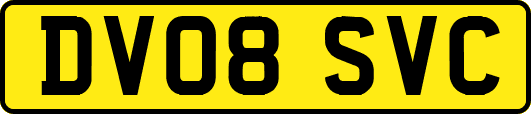DV08SVC